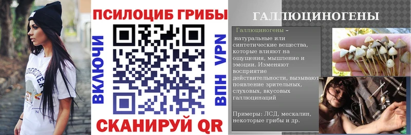 Псилоцибиновые грибы Cubensis  купить наркотики цена  Тосно 