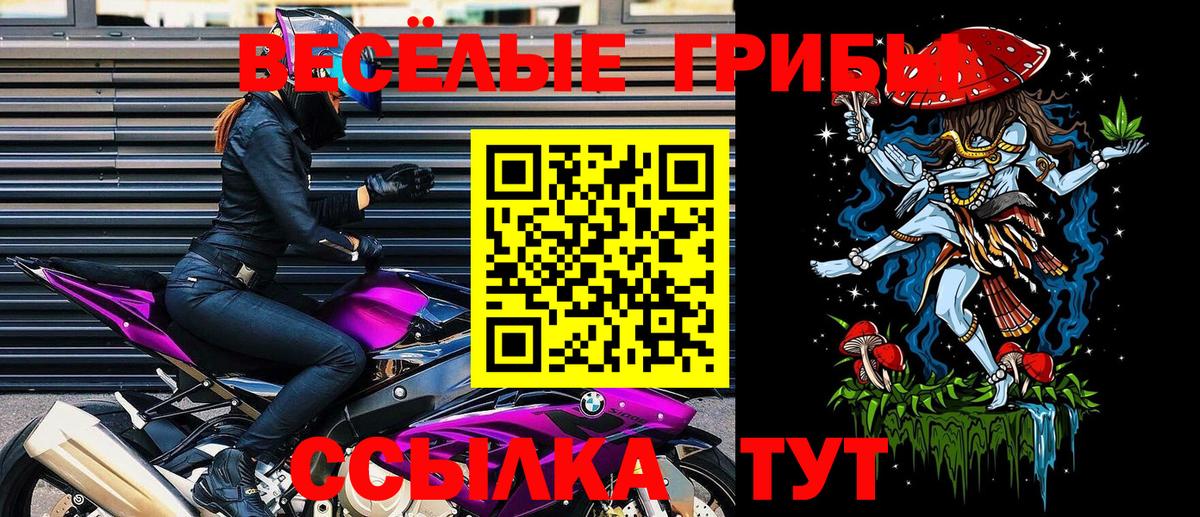 закладка  Псилоцибиновые грибы мицелий  Вход с VPN  Тосно 