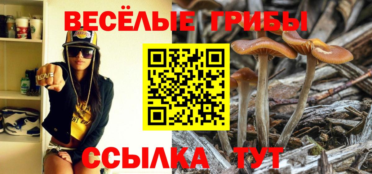 Галлюциногенные грибы мицелий Тосно