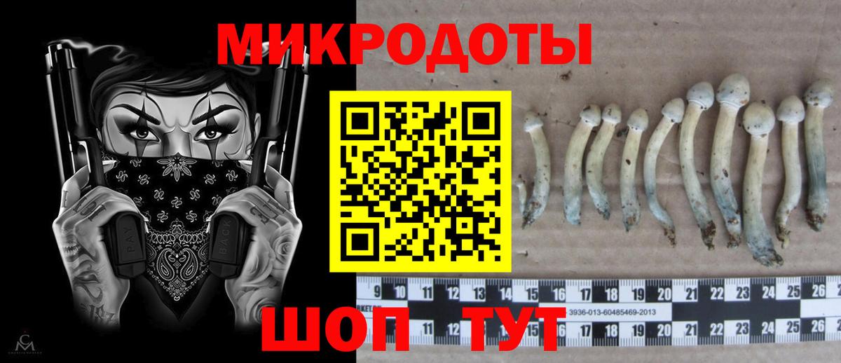 Тосно  закладки  Вход с VPN  Псилоцибиновые грибы мицелий 
