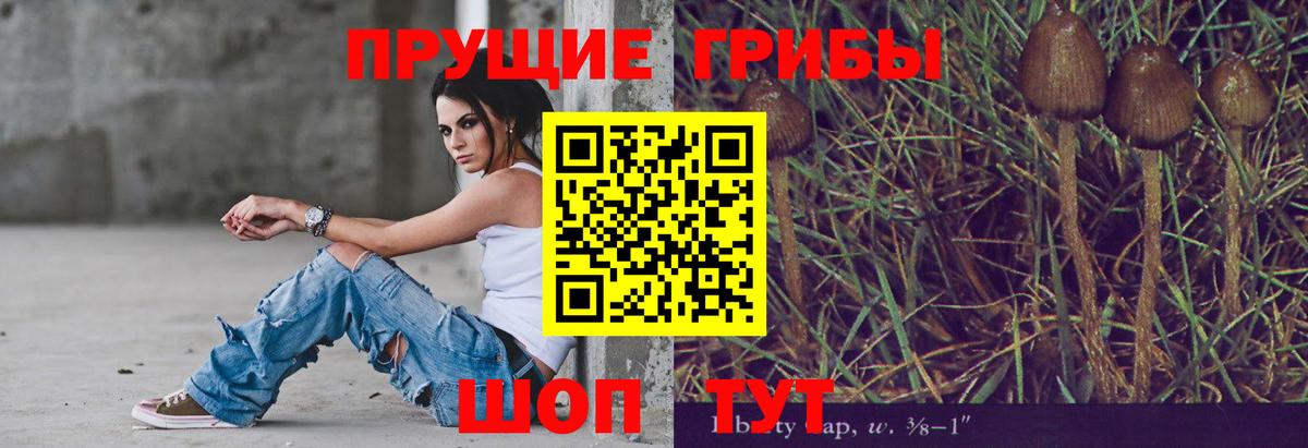 Псилоцибиновые грибы ЛСД Тосно